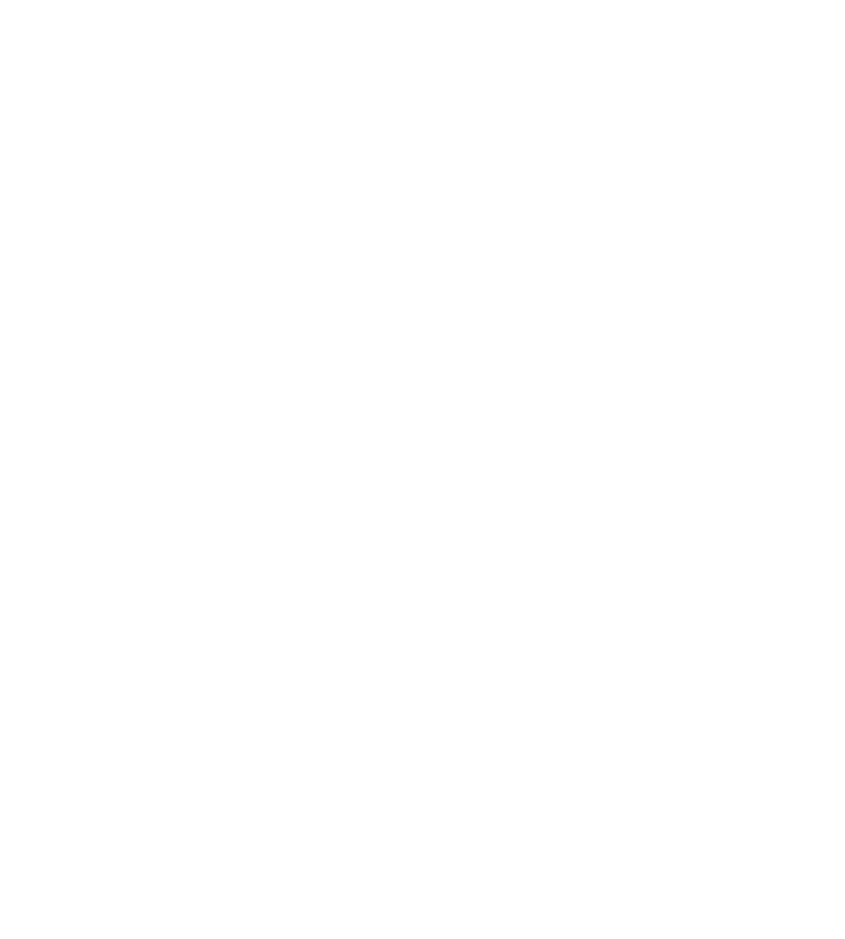 zambimex logo